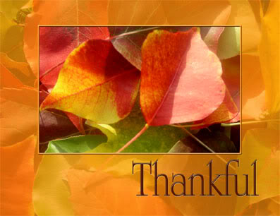 Thankful: Two Short Posts Long on Thankfulness