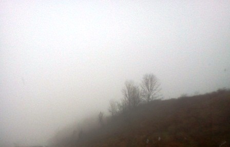 Read more about the article Sabbath Sunday: Not Even in the Fog
