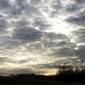 IMG_20111213_093549 (3)