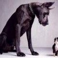 th_Intimidation