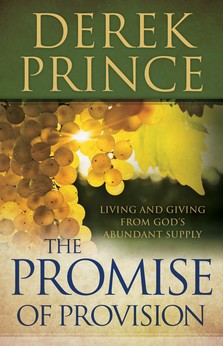 Read more about the article Book Review: The Promise of Provision