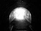 Character Confession: What Happens When I See the Light at the End at the Tunnel