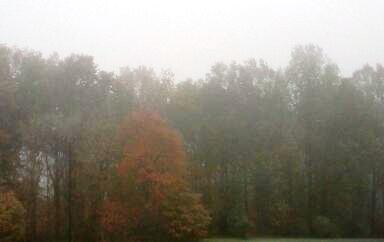 Sabbath Sunday: Full of Fog with Glimpses of Beauty