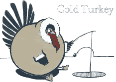 Cold Turkey by Pam Ford Davis