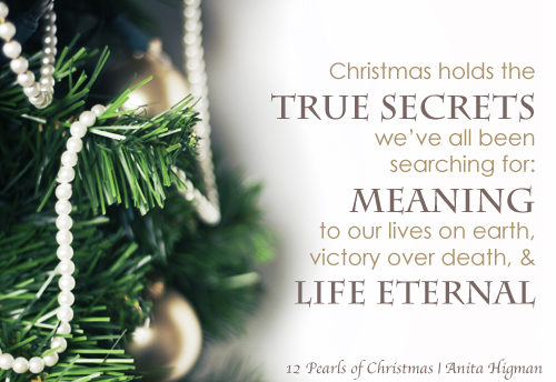 Read more about the article Christmas Musings by Anita Higman