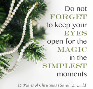 Read more about the article The Magic of a Christmas Moment by Sarah E. Ladd