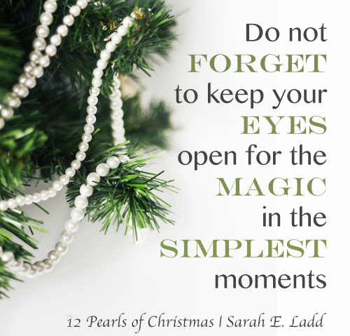 The Magic of a Christmas Moment by Sarah E. Ladd