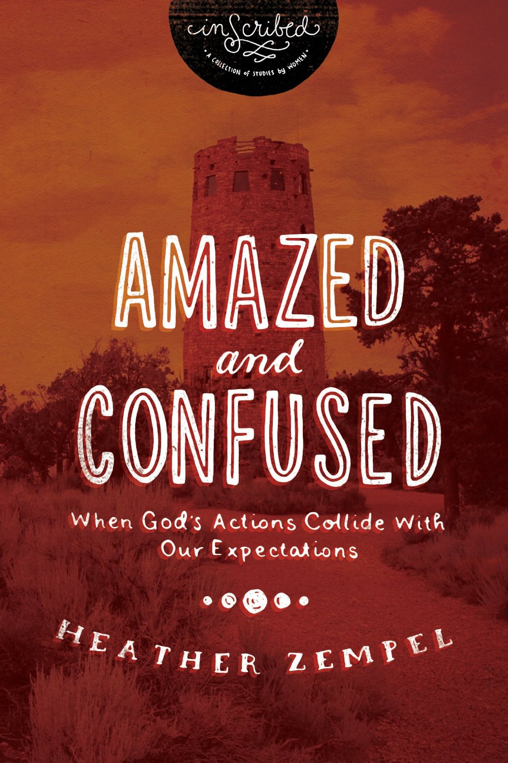 Book Review: Amazed and Confused by Heather Zempel