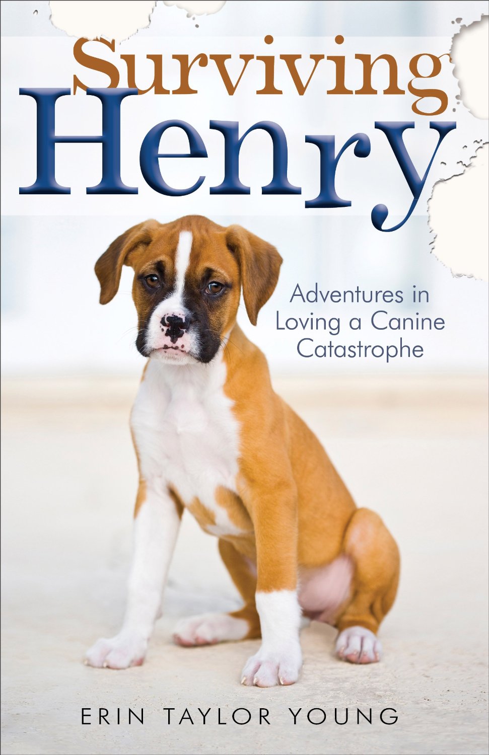 Read more about the article Book Trailer of the Week: Henry and the Bouncing Ball by Surviving Henry