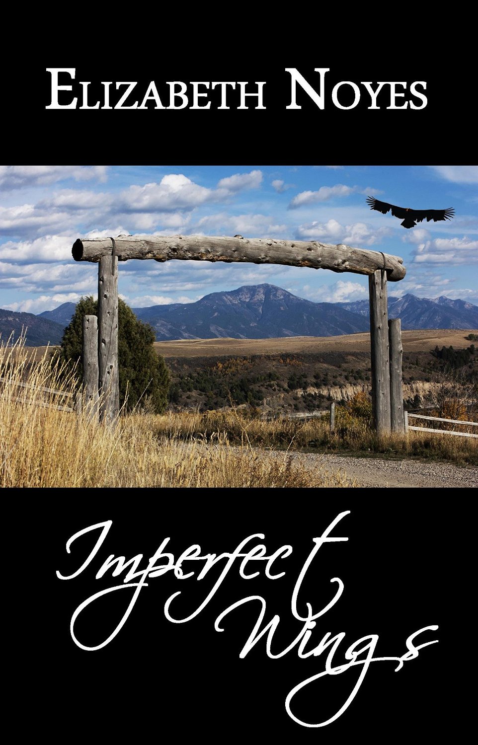 Book Review: Imperfect Wings by Elizabeth Noyes