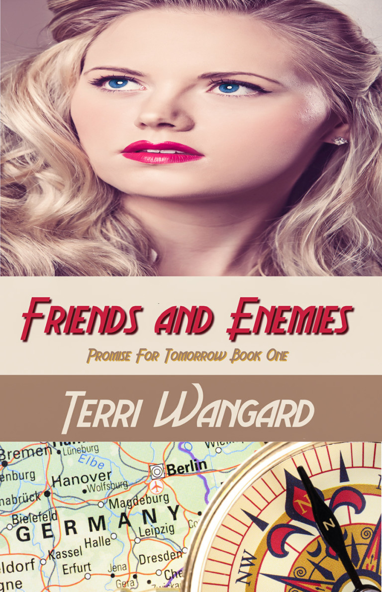 Surrender Story: Friends and Enemies by Terri Wangard
