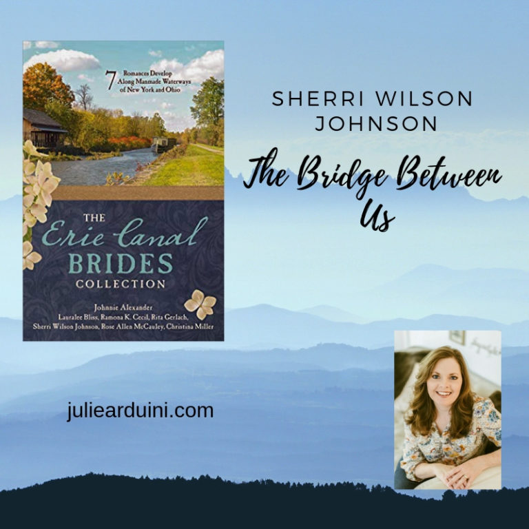Sherri Wilson Johnson: The Bridge Between Us (The Erie Canal Brides Collection)
