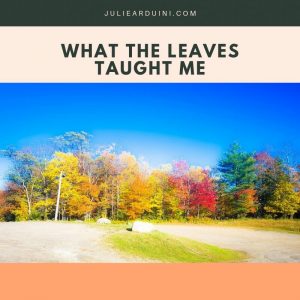 Read more about the article What the Leaves Taught Me