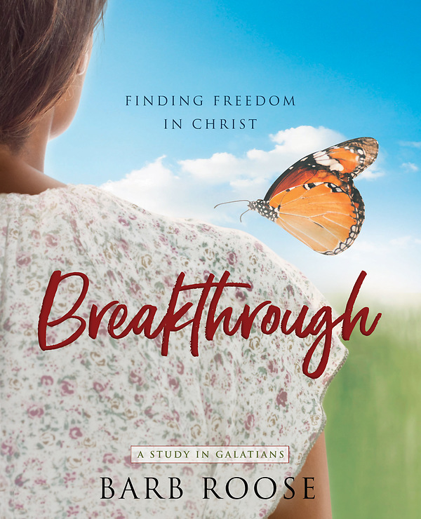 Read more about the article Barbara Roose: Breakthrough, Part 1